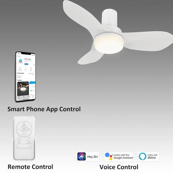 Daisy II 36 in. Dimmable LED Indoor White Smart Ceiling Fan with Light and Remote, Works with Alexa and Google Home