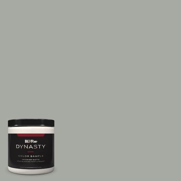 BEHR DYNASTY 8 oz. #ECC-35-1 Silver Clouds Matte Stain-Blocking Interior/Exterior Paint and Primer Sample