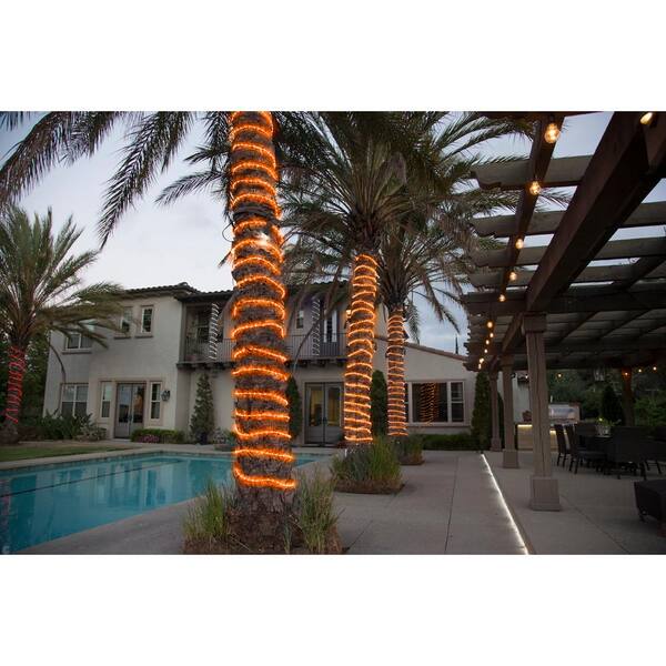 orange rope lights home depot