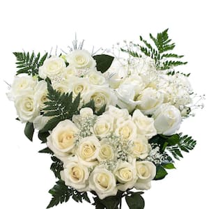 3-Dozen White Roses with Baby's Breath and Green- Fresh Flower Delivery