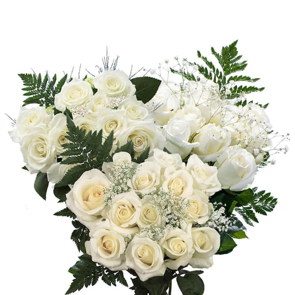 2-Dozen White Roses with Baby's Breath and Green- Fresh Flower Delivery