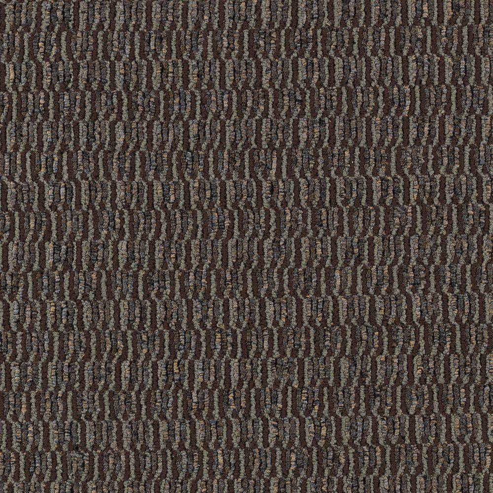 8 in. x 8 in. Loop Carpet Sample - Social Network I -Color Coffee Bean price history on PriceWatchPro