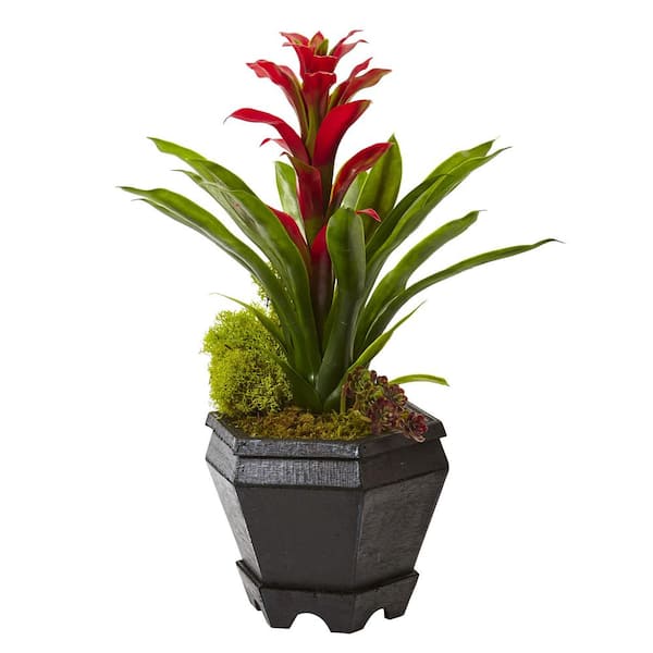 Nearly Natural 16.5 in. Artificial Bromeliad in Black Hexagon Planter in Red