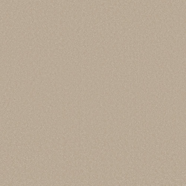 Park Royal-Color Latte' Beige 52 oz. Nylon Texture Installed Carpet