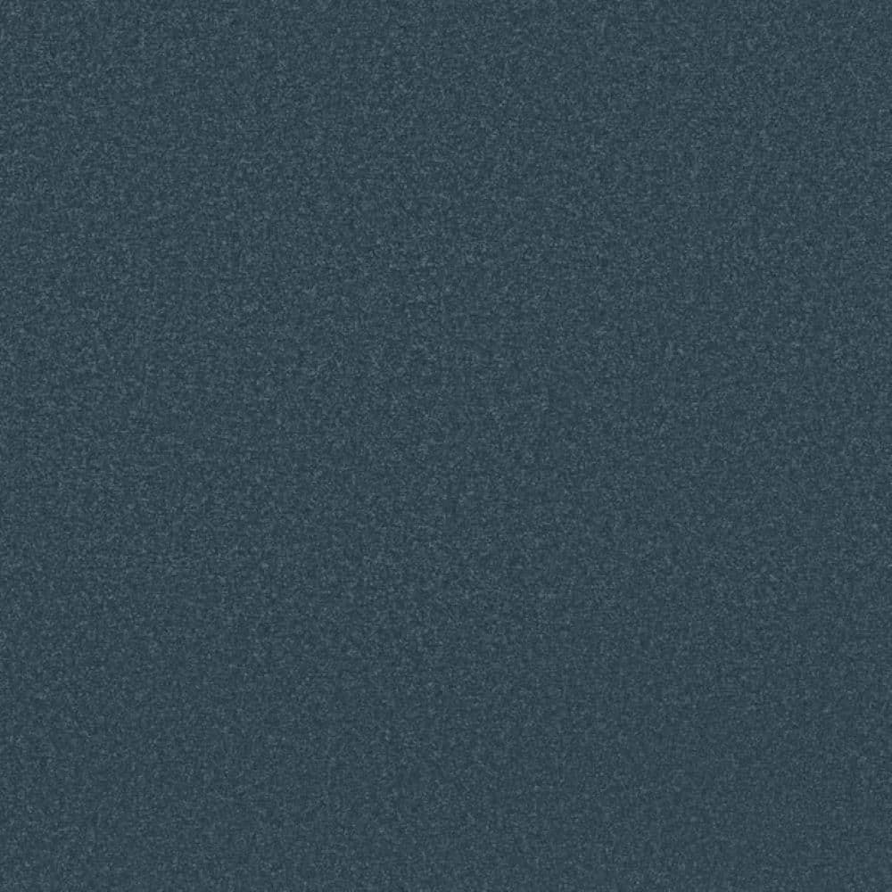 8 in. x 8 in. Texture Carpet Sample-Park Royal II-Color Sapphire price history on PriceWatchPro