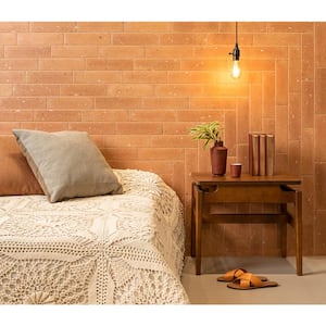 Brick Art Chelsea Cotto MA 3 in. x 10 in. Glazed Ceramic Floor and Wall Tile Sample