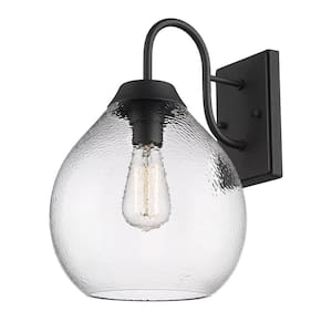 Ariella 1-Light Natural Black Outdoor Hardwired Wall Light with Hammered Clear Glass Shade