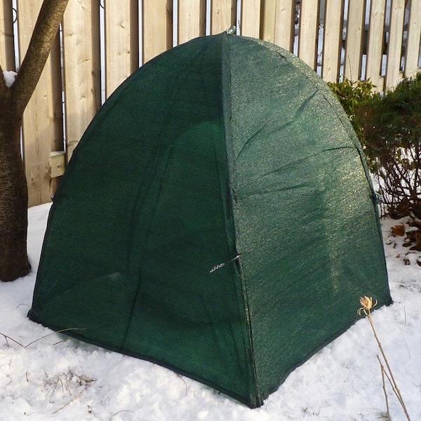 テント・タープ BUSH ECOLOGY NOKI Notch Li - Tarptent