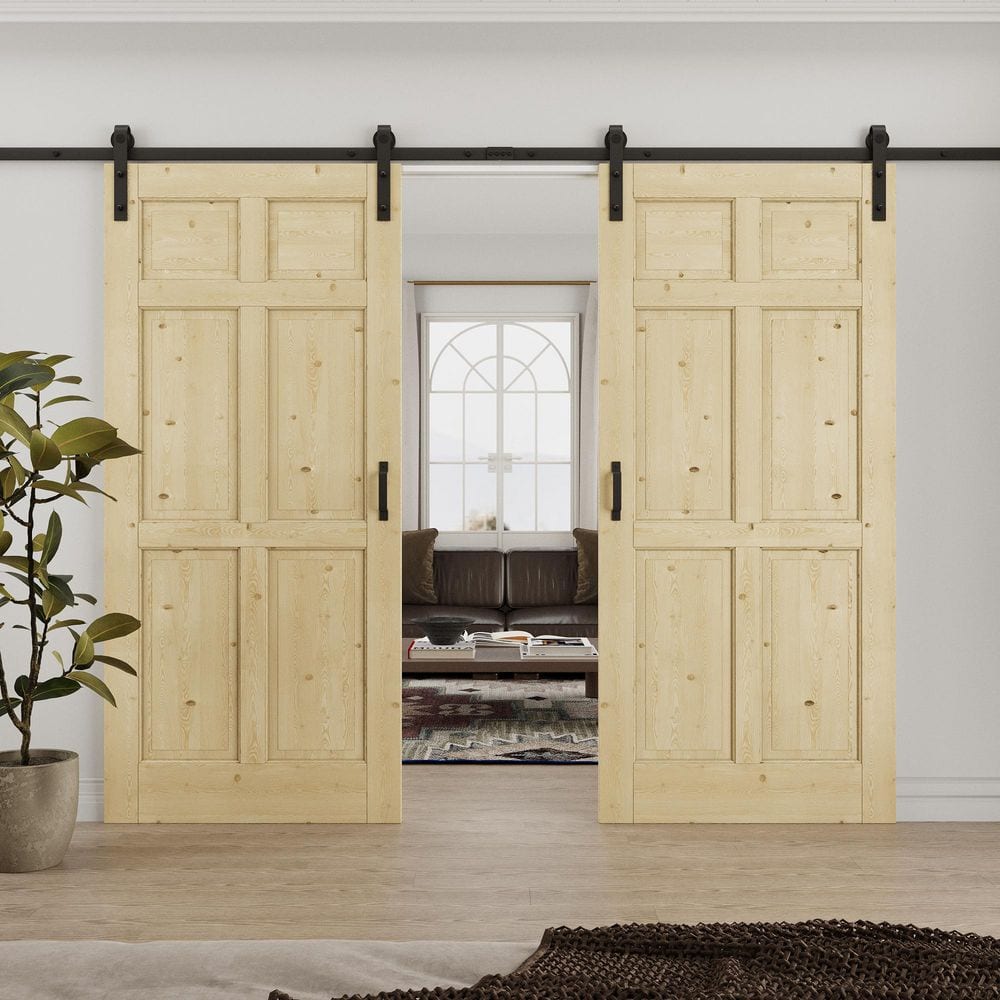 6-panel-ark-design-barn-doors-