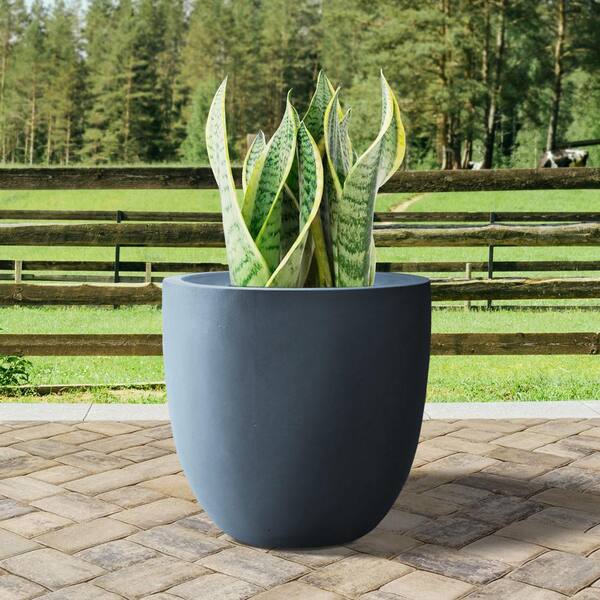 Durable Granite Pot for Indoor/Outdoor Plants – Ed's Plant Shop