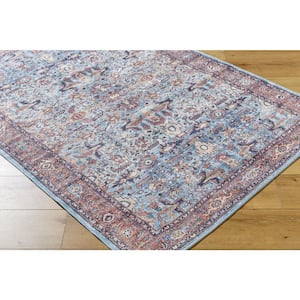 Georgina 7 ft. x 9 ft. Blue Border Indoor Area Rug