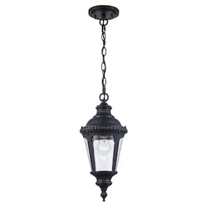 Commons 1-Light Black Hanging Outdoor Pendant Light Fixture with Seeded Glass