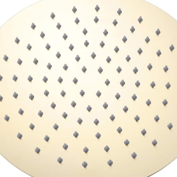 3 Handles 2-spray Fixed and Handheld Showerheads 3.2 PGM with Hand Shower in Brushed Gold