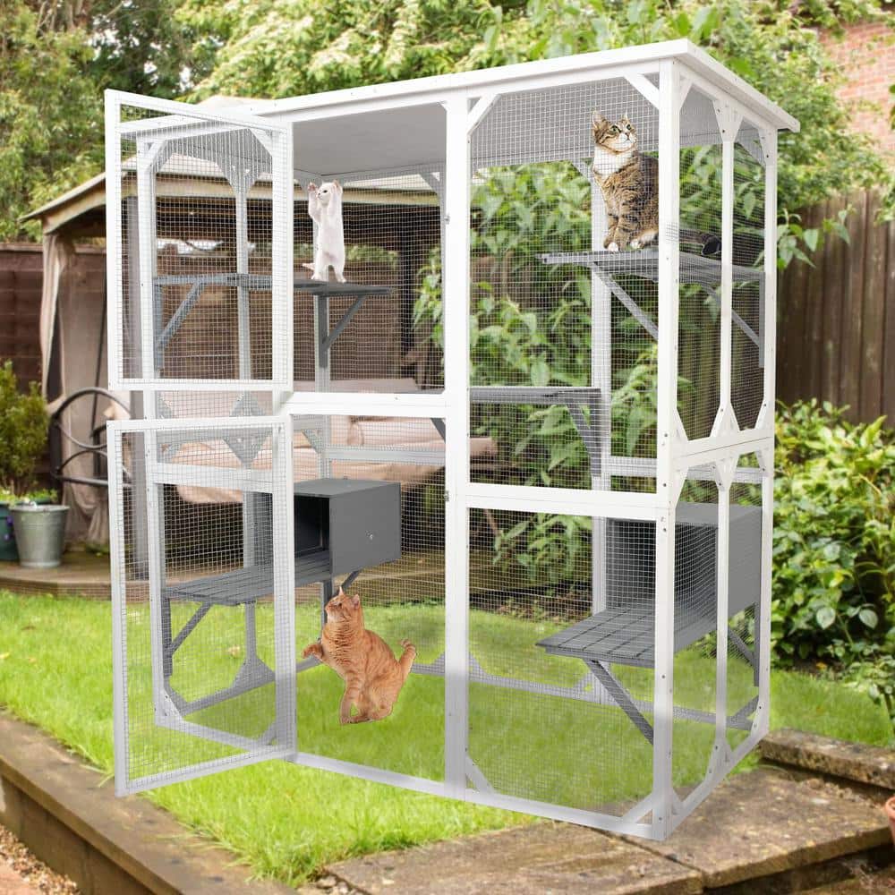 Cat Cage Box Lovely House Cute Pet Play Speace Wooden White Big For Backyar