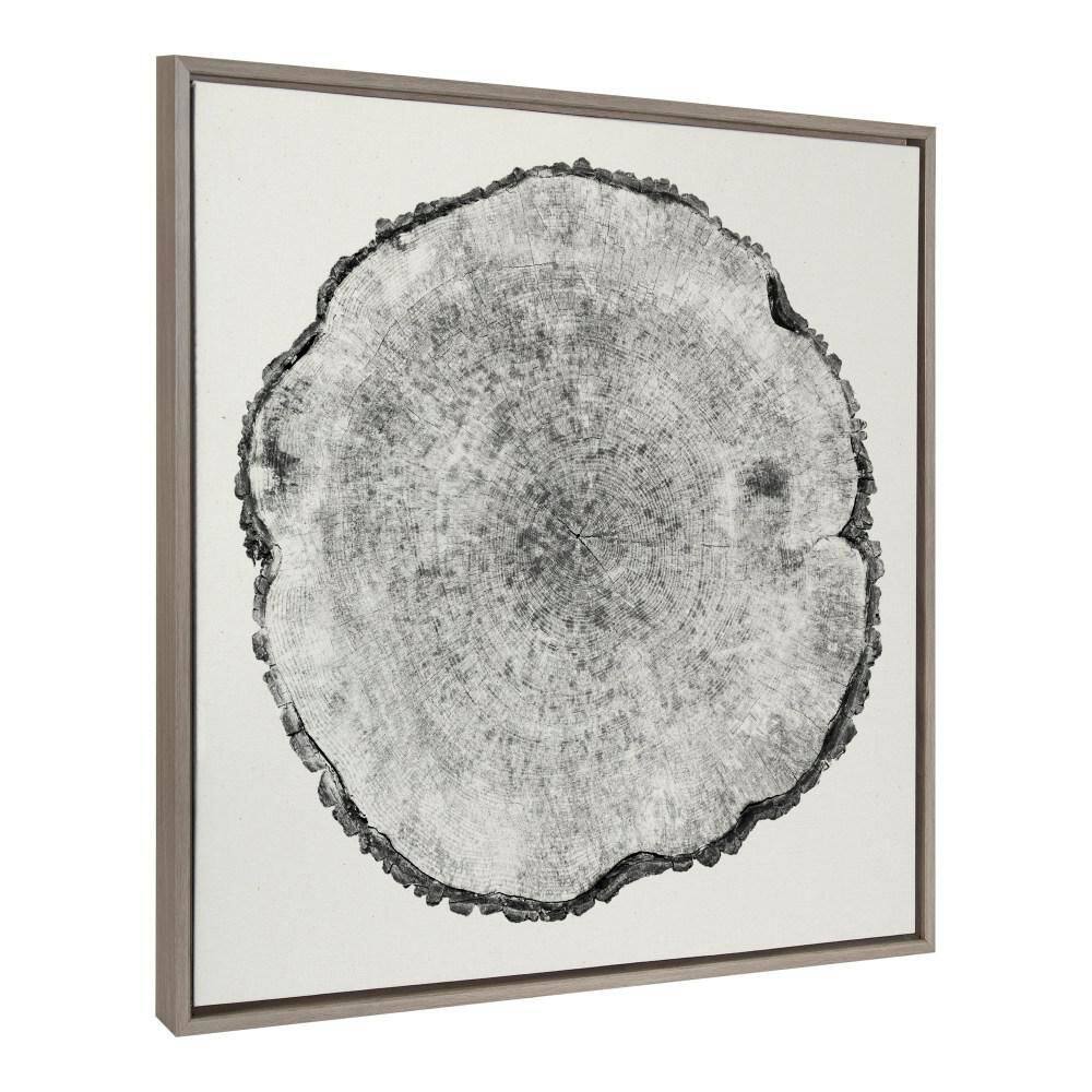"Sylvie ""Tree Rings Linen"" by Emiko and Mark Franzen of F2Images Gray Framed Art Print 30 in. x 30 in." price history on PriceWatchPro