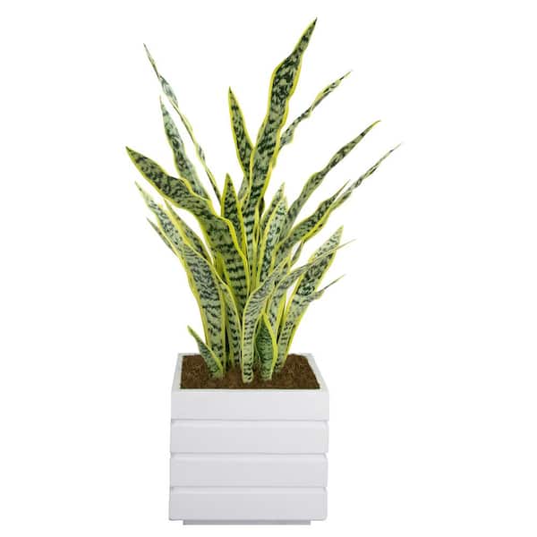 VINTAGE HOME 3.5 in. Artificial Tall Agave with Fiberstone Planter