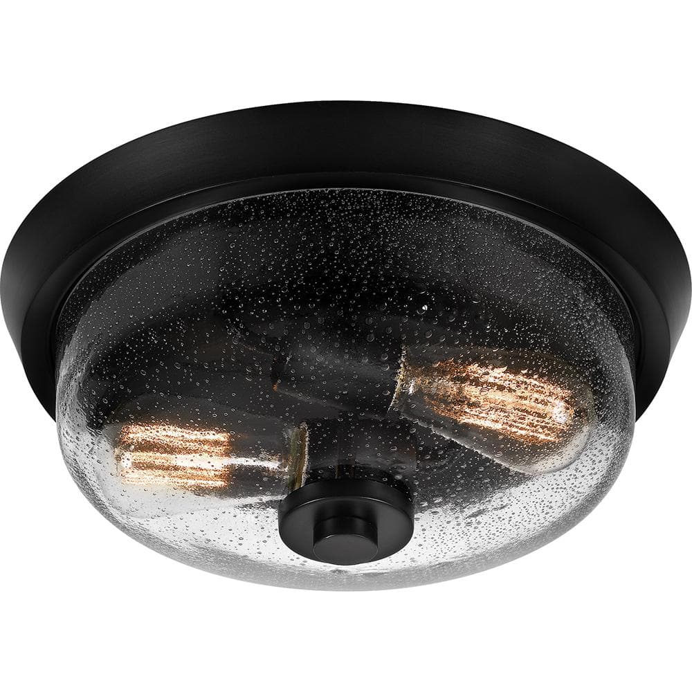 Radius Black Glass 2-Light Indoor/Outdoor Flush Mount Ceiling Light