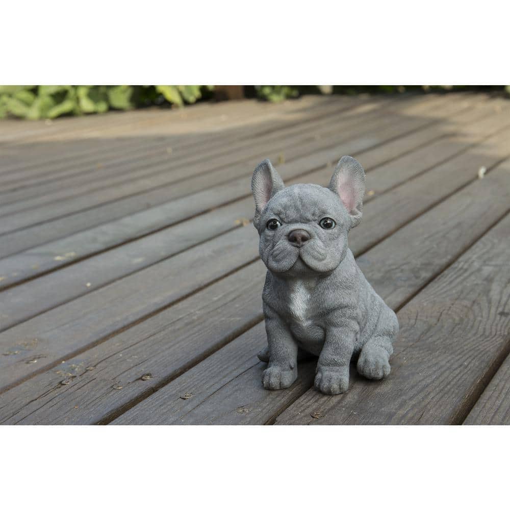 Gray Resin French Bulldog Puppy Sitting Statue