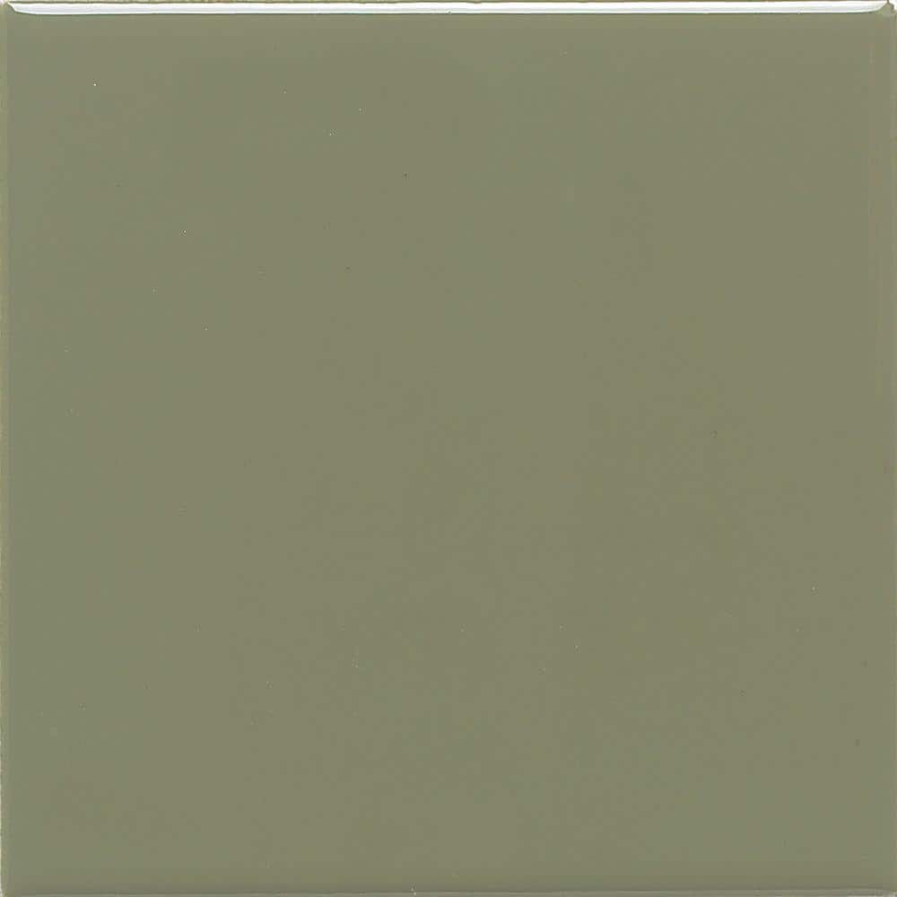 Semi-Gloss Garden Spot 6 in. x 6 in. Ceramic Wall Tile (12.5 sq. ft. / case