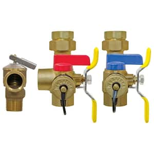 3/4 in. FIP Union x FIP Forged Brass Full Port Service Valves EXP-E2 Complete Tankless Water Heater Installation Kit