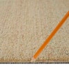 straw-natural-harmony-texture-carpet-227720-4f.4