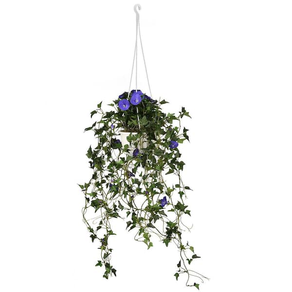 National Tree Company 44 in. Artificial Hanging Morning Glory Plant