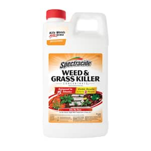 Weed and Grass Killer 64 oz. Concentrate