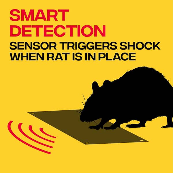 Reviews for Victor Electronic Indoor Rat Trap | Pg 3 - The Home Depot