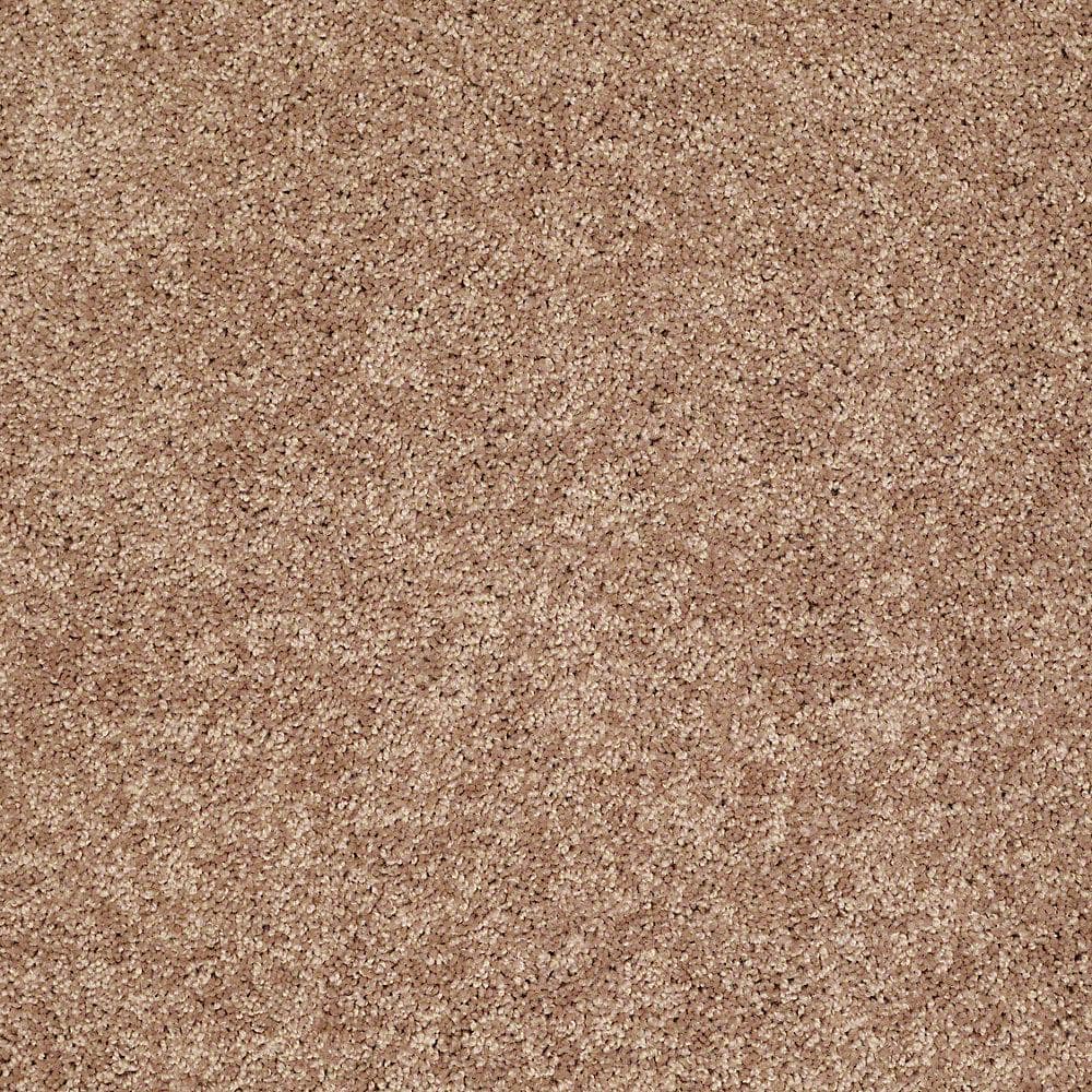 8 in. x 8 in. Texture Carpet Sample - Palmdale II - Color Nature Walk price history on PriceWatchPro