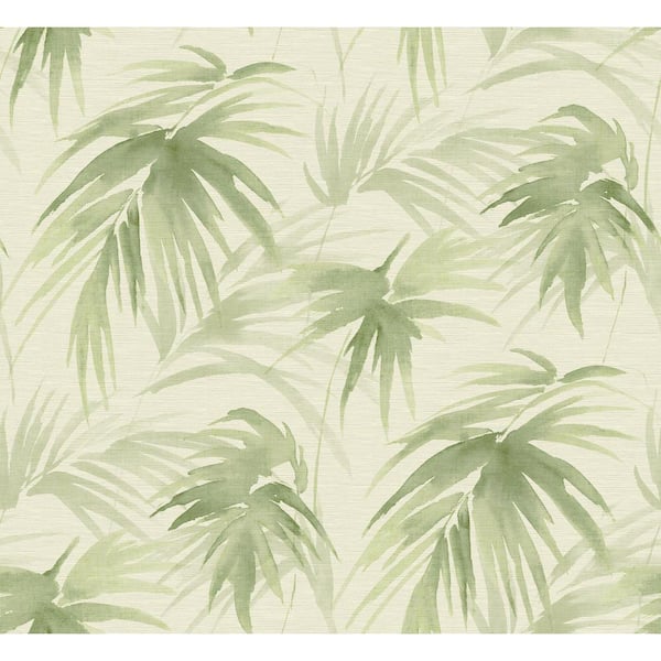 SCOTT LIVING Darlana Green Grasscloth Green Wallpaper Sample