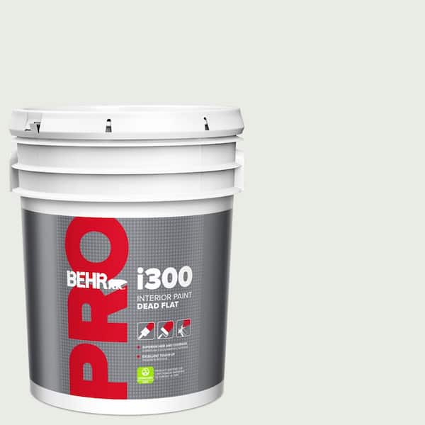5 gal. #PPU25-12 Minimalistic Dead Flat Interior Paint
