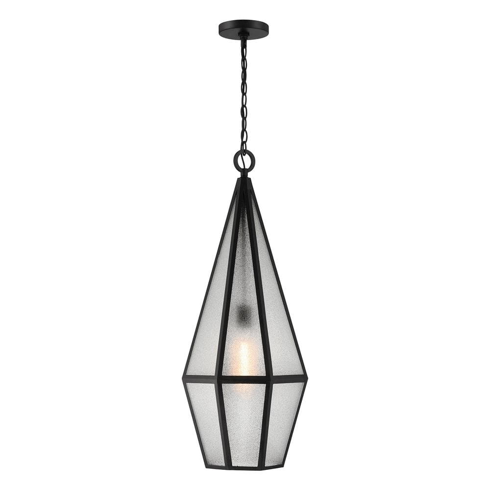 Matte Black Art Glass 1-Light Outdoor Hanging Lantern