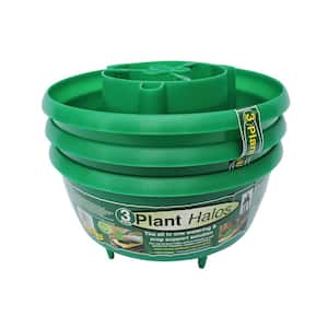 Plant Halo Water Reservoir (3-Pack)