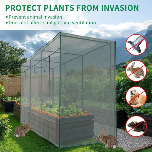 ABORON Green Plant Protection Tent 10 ft. L x 3 ft. W x 6 ft. H