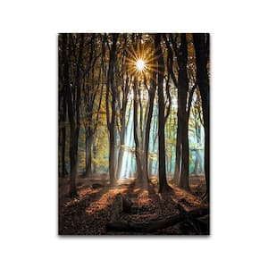 Beam Me Up Scotty by Colossal Images Canvas Wall Art 36 in. x 27 in.