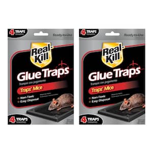 Mouse Glue Traps (2-Pack)