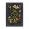 Trademark Fine Art Midnight Botanical Ii by Vision Studio 19 in. x 14 in.  WAG00950-C1419G - The Home Depot