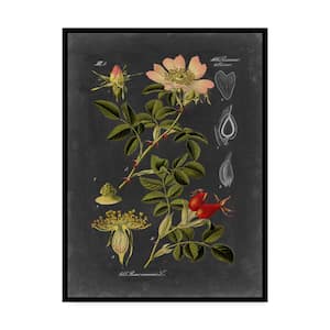 Midnight Botanical I by Vision Studio Floater Frame Nature Wall Art 19 in. x 14 in.