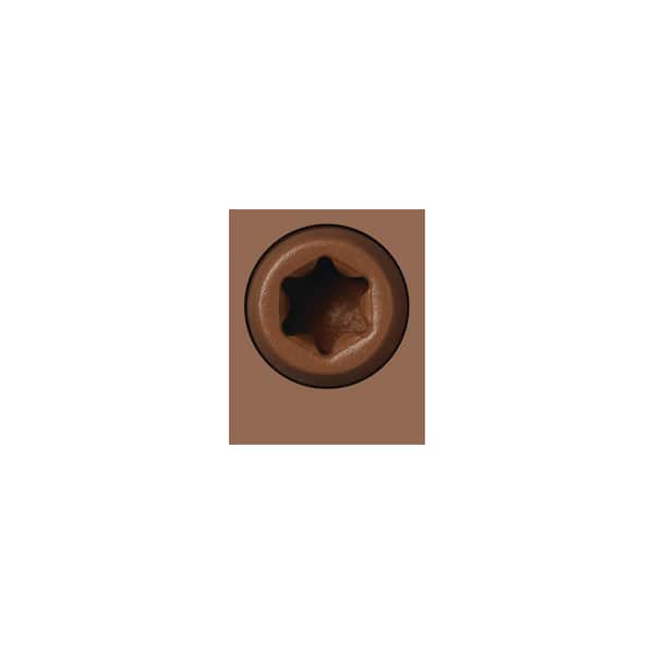 NewTechWood 1-Pack #10 x 2-1/2 in. Tasmanian Blackwood Stainless