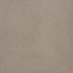 First Class I - Haven - Beige 32 oz. SD Polyester Texture Installed Carpet