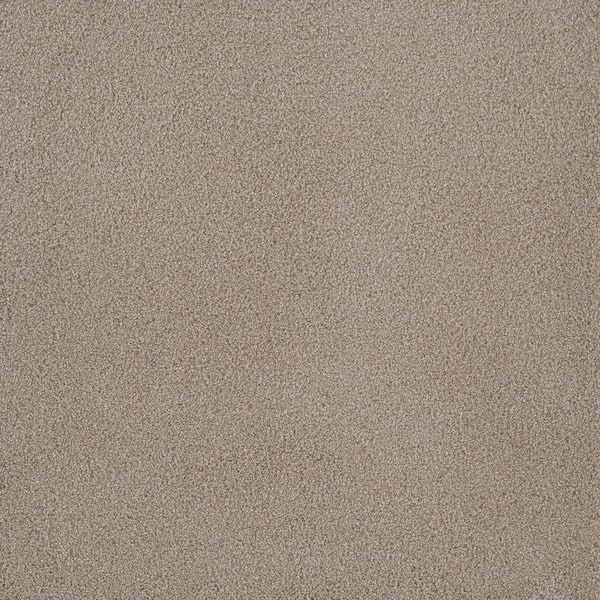Home Decorators Collection First Class I - Haven - Beige 32 oz. SD Polyester Texture Installed Carpet