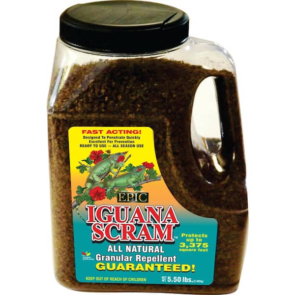 Unbranded Iguana 5.5 lbs. Repellent Granular Shaker Jug