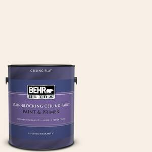 1 gal. #PWN-35 Devonshire Ceiling Flat Interior Paint and Primer