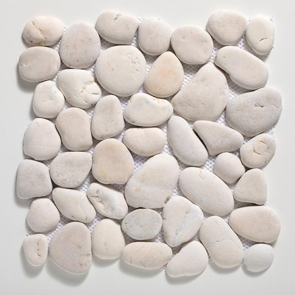 貝殻　小物入れ　STONE MILL DESIGNS SANTA CRUZ 貝殻 小物入れ STONE MILL DESIGNS SANTA CRUZ