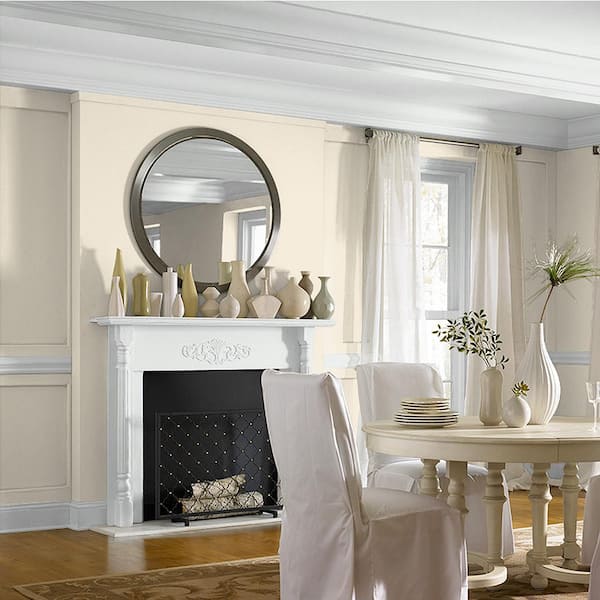 Absolute White (L161) House Wall Painting Colour