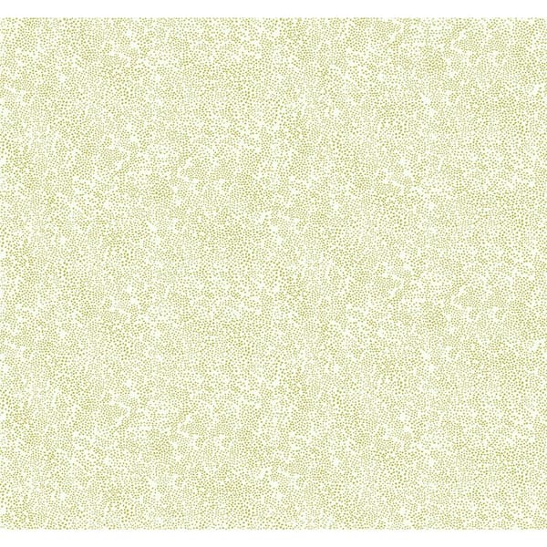 RIFLE PAPER CO. 60.75 sq. ft. Champagne Dots Wallpaper