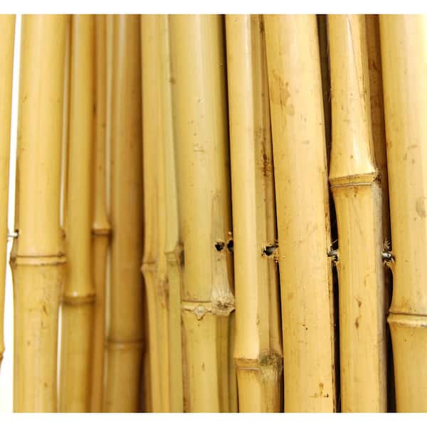 6 ft. H x 8 ft. x 3/4 in. D Natural Bamboo Fencing Decorative Rolled Fence Panel Garden Fence