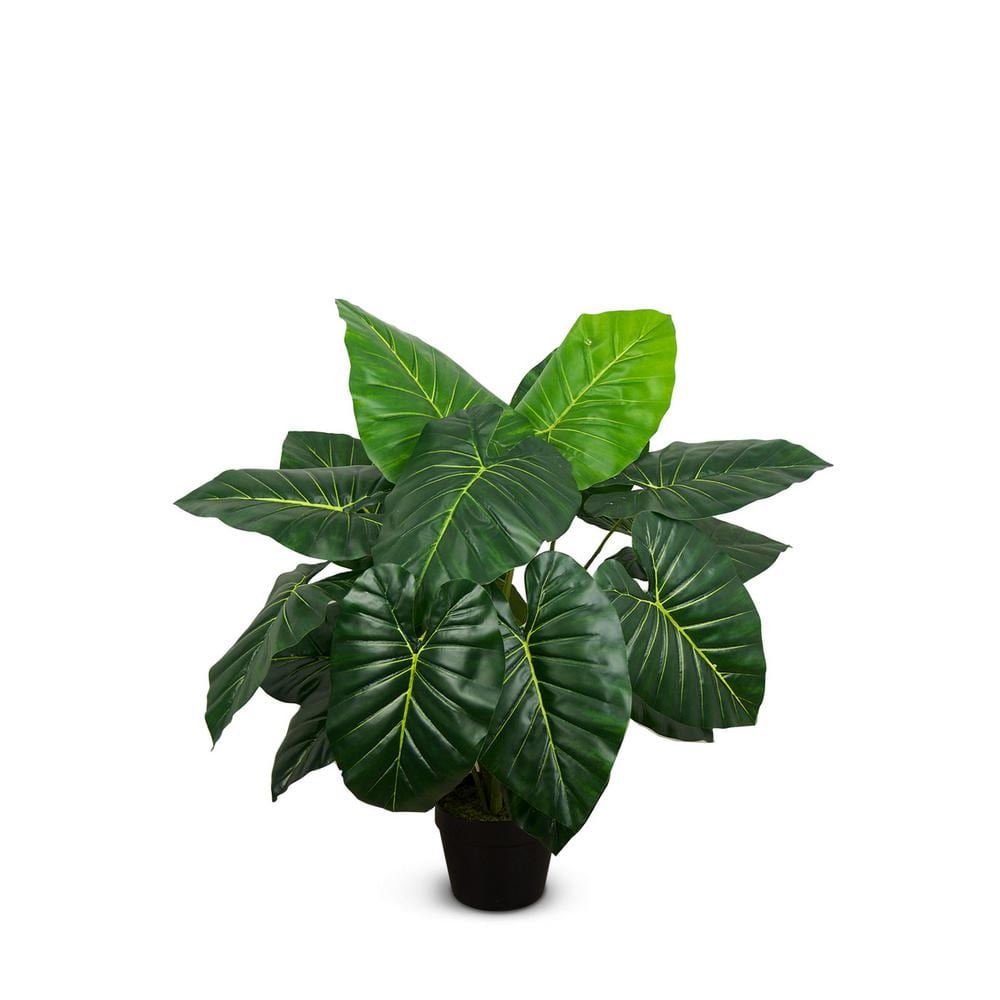 Botanical 2.8 ft. Artificial Taro in Pot