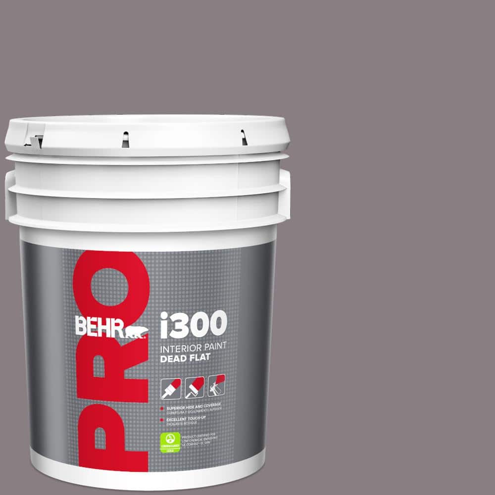 5 gal. #N570-4 Classy Plum Dead Flat Interior Paint price history on PriceWatchPro