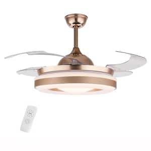 42 in. Modern Gold Indoor Integrated LED Retractable Blades Ceiling Fan with Remote Control
